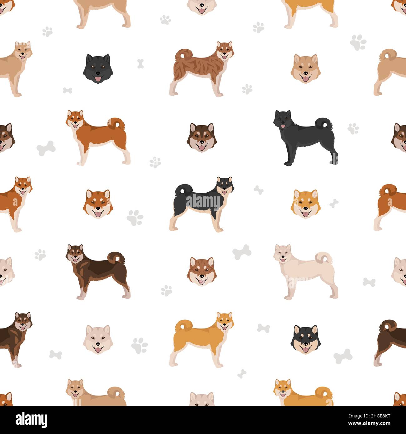 Hokkaido dog, Ainu dog seamless pattern. Different poses, coat colors set.  Vector illustration Stock Vector