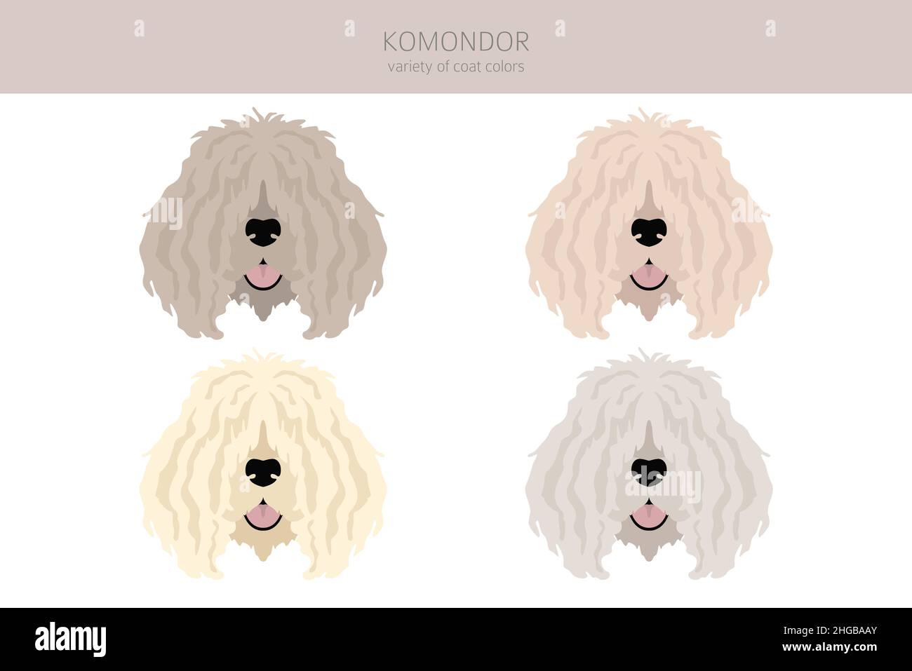 Komondor clipart. Different poses, coat colors set.  Vector illustration Stock Vector