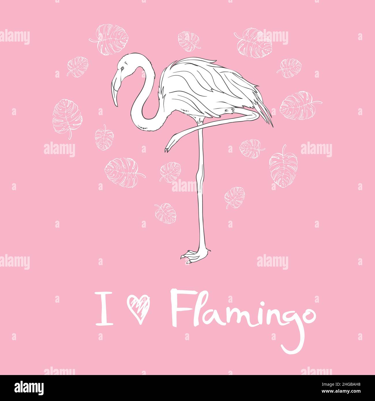 Pink flamingo vector illustration isolated on white background Stock ...