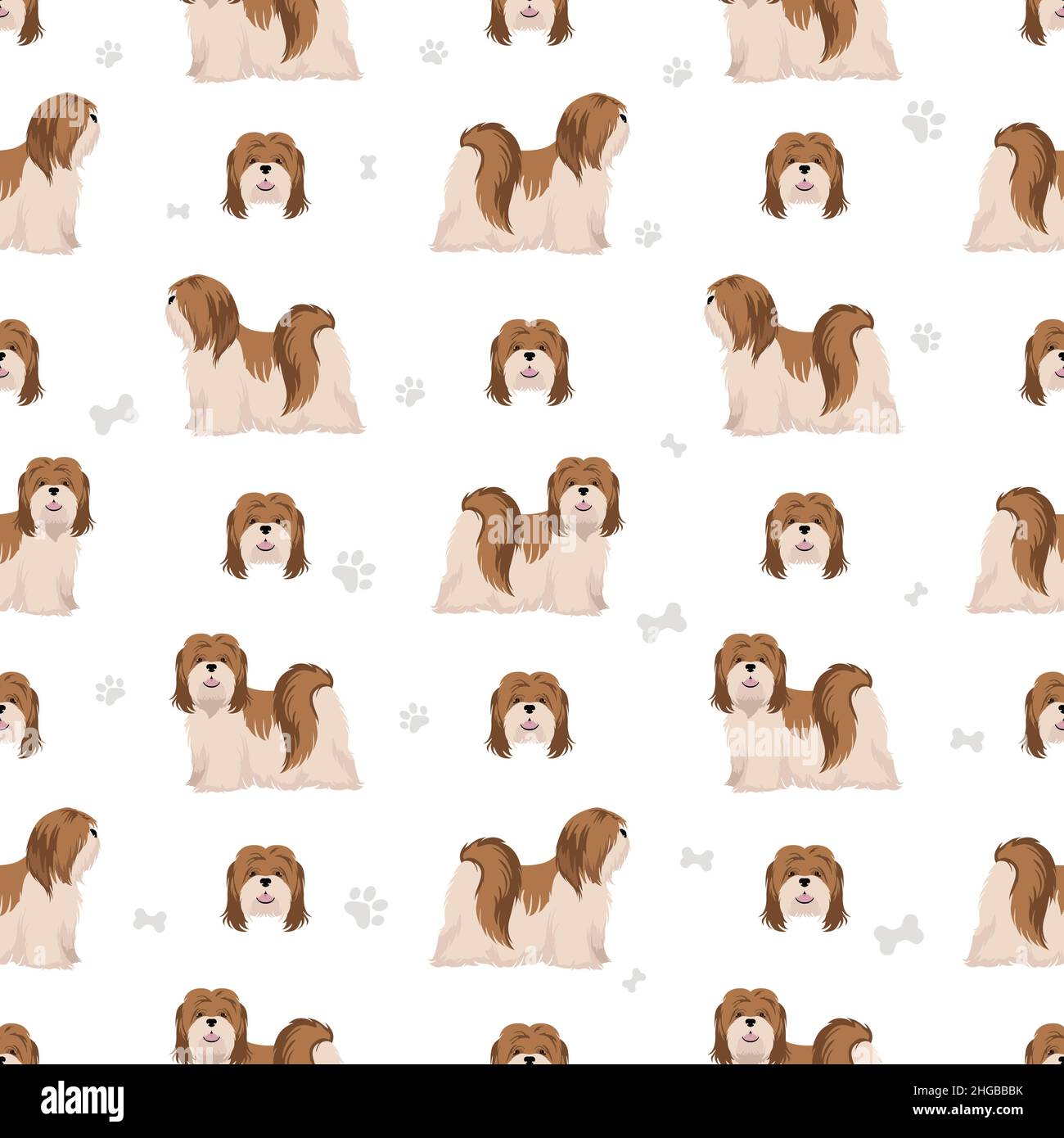 Lhasa Apso seamless pattern. Different poses, coat colors set.  Vector illustration Stock Vector