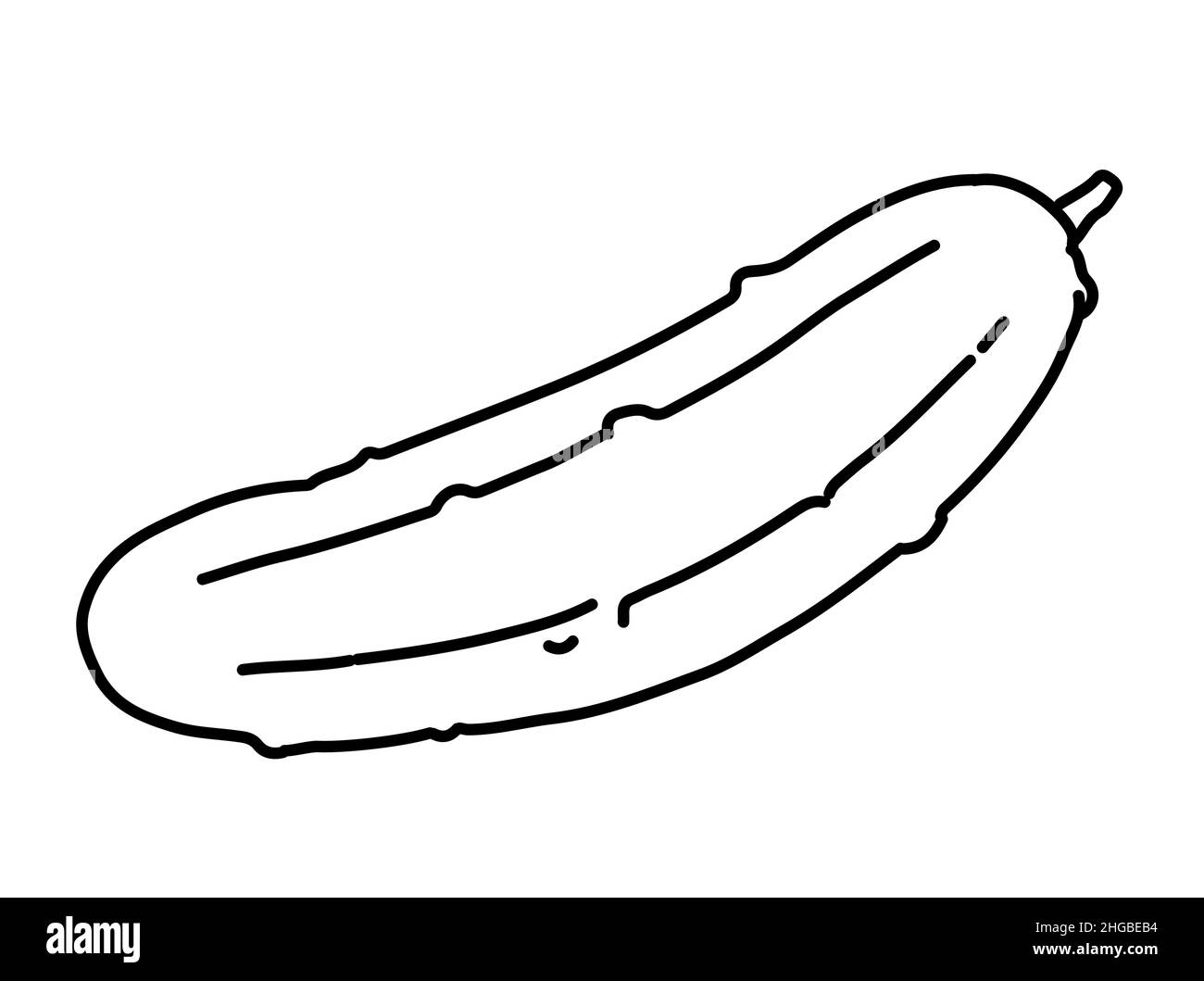 Cucumber ripe vegetable. Edible vegetable fruit. Hand drawing outline