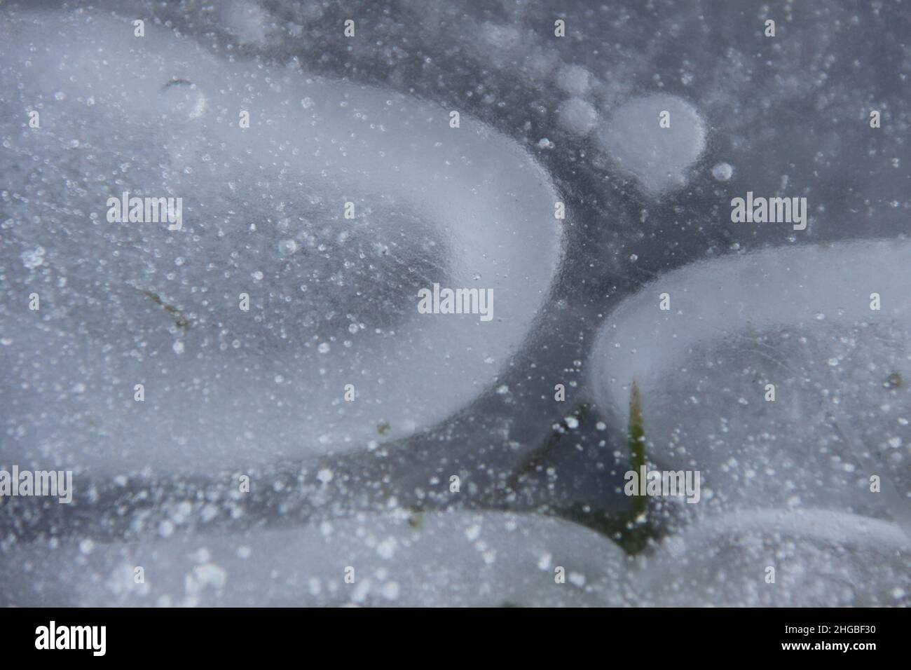 Frozen air bubbles in the ice on a frozen ditch. Stock Photo