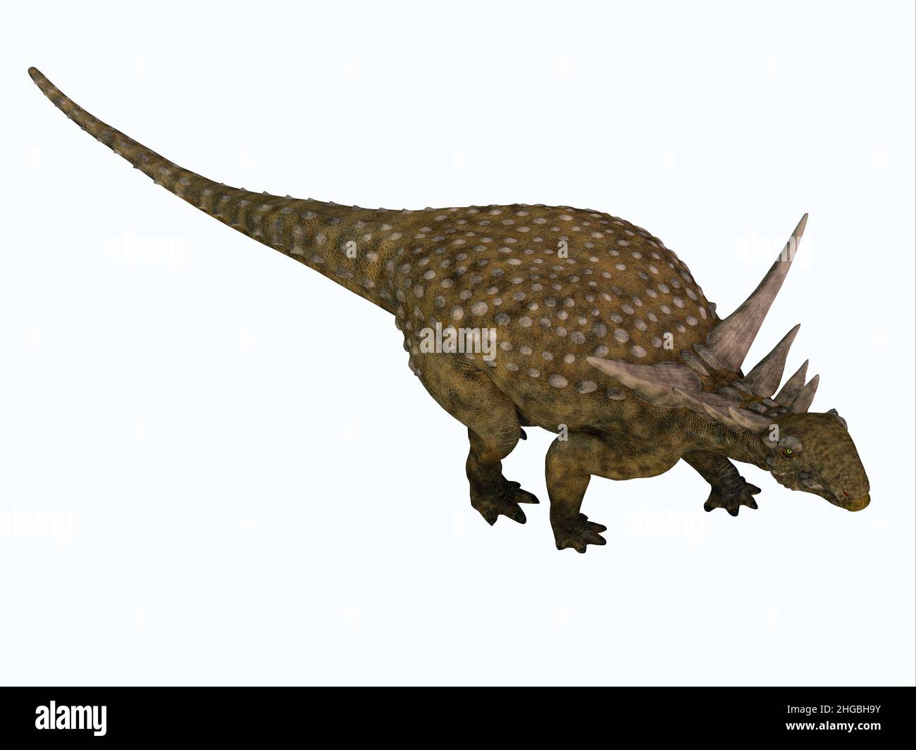 Sauropelta was an armored herbivore nodosaur dinosaur that lived in North America during the Cretaceous Period. Stock Photo