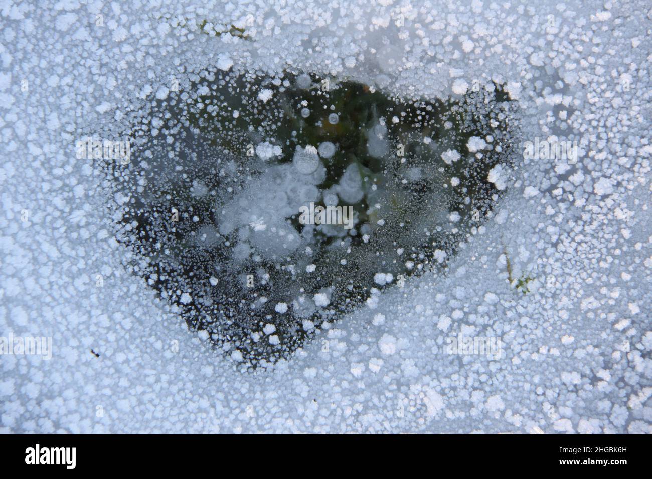 Frozen air bubbles in the ice on a frozen ditch. Stock Photo