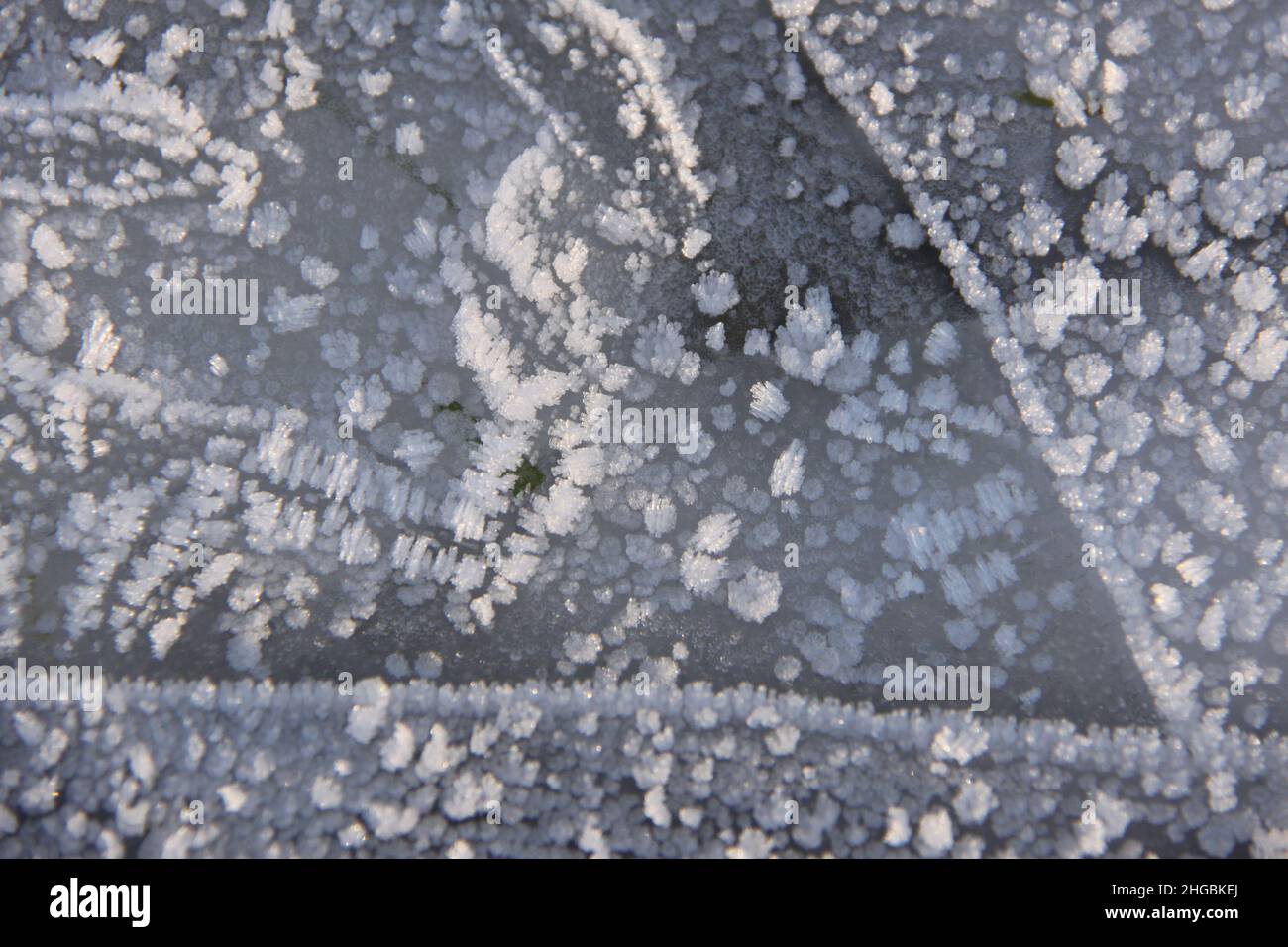 Beautiful ice pattern on a frozen ditch Stock Photo