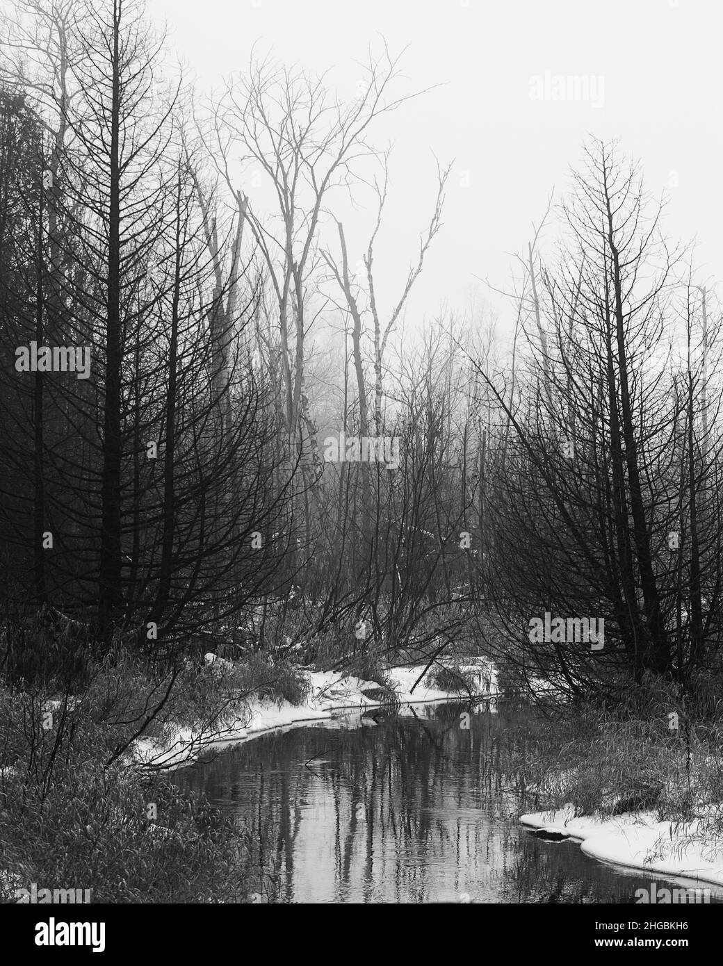 Those foggy days Stock Photo Alamy