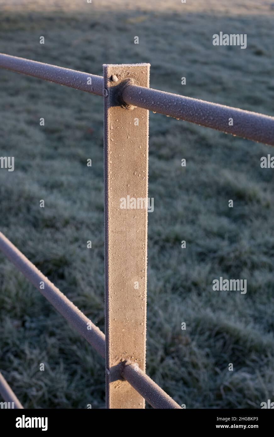 Frozen frosty metal fence around a field Stock Photo