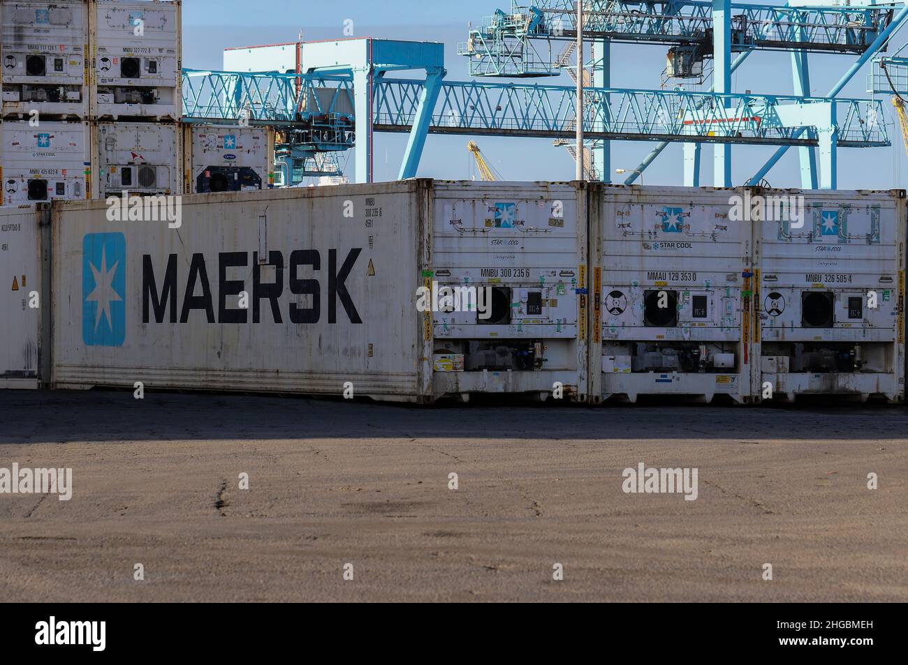 Maersk shipping containers stacked in dock beside gantry crane. White refrigerated crates used to transport or ship chilled goods or freight. Ireland Stock Photo