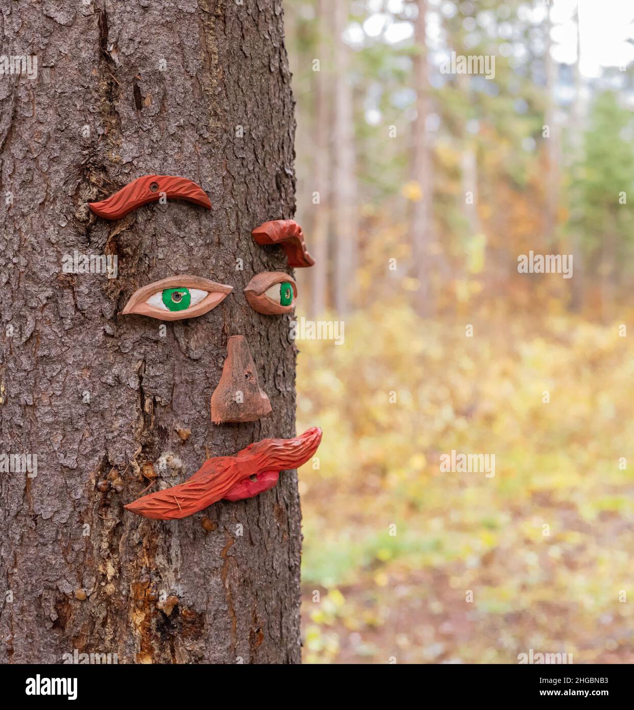 Wood carved tree with human face in a forest Stock Photo