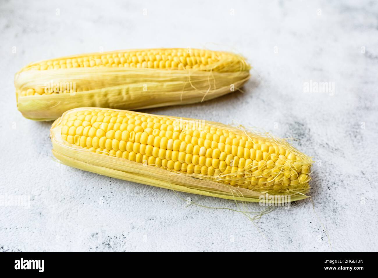 modified sweet corn for food use, isolated on simple