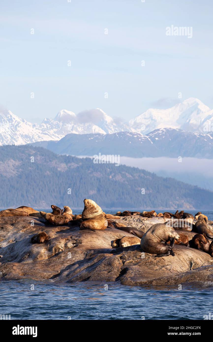Marble islands hires stock photography and images Alamy
