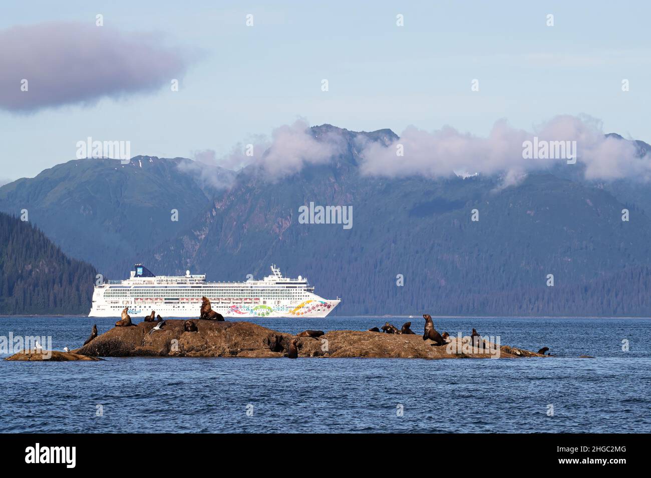 Steller sea lion, Eumetopias jubatus, haul out site with cruise ship, South Marble Islands