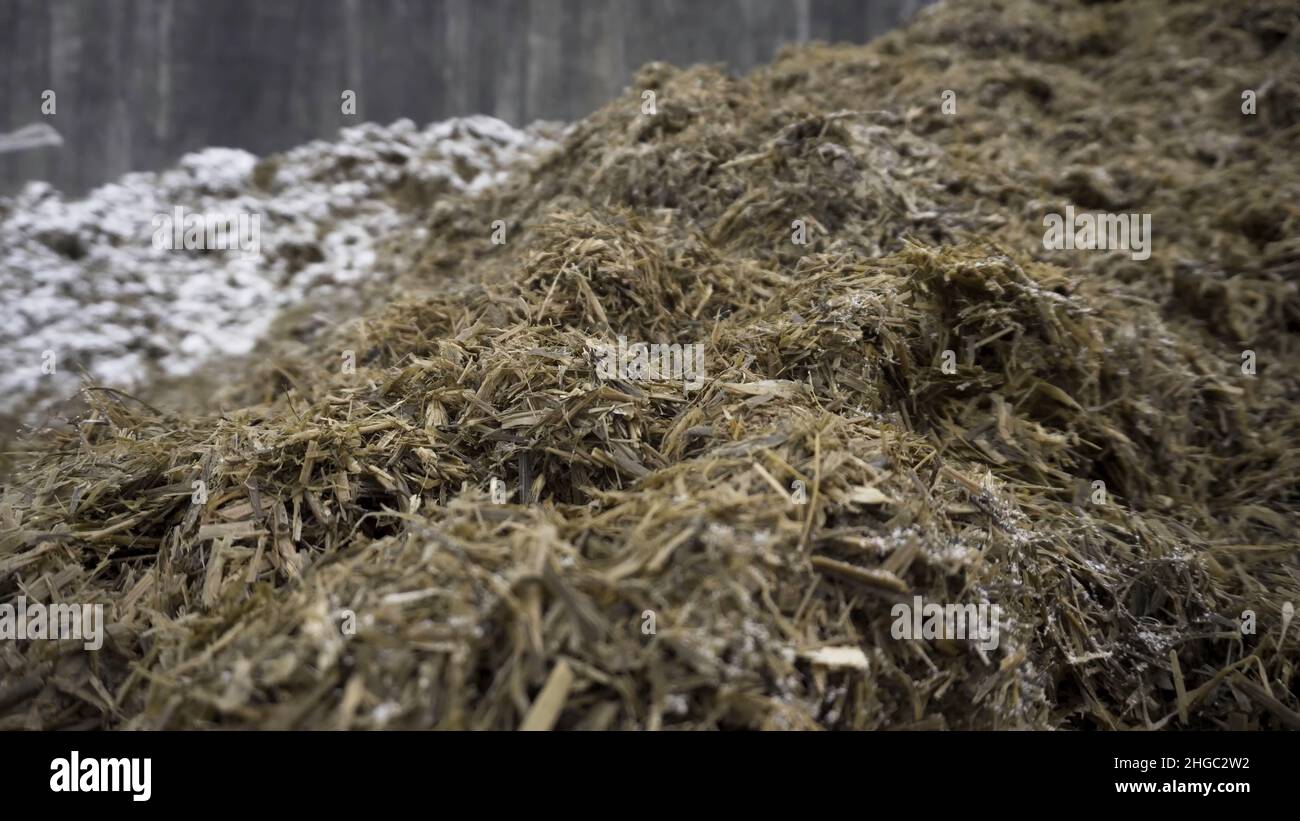 Close up for the pile of old grass and humus prepared for soil ...