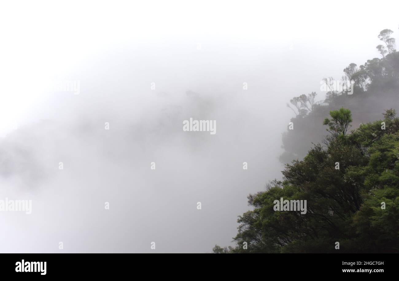 fog shrouds a clif face at the blue mountains, NSW, Australia. The blue mountains is oftentimes covered in fog. Stock Photo