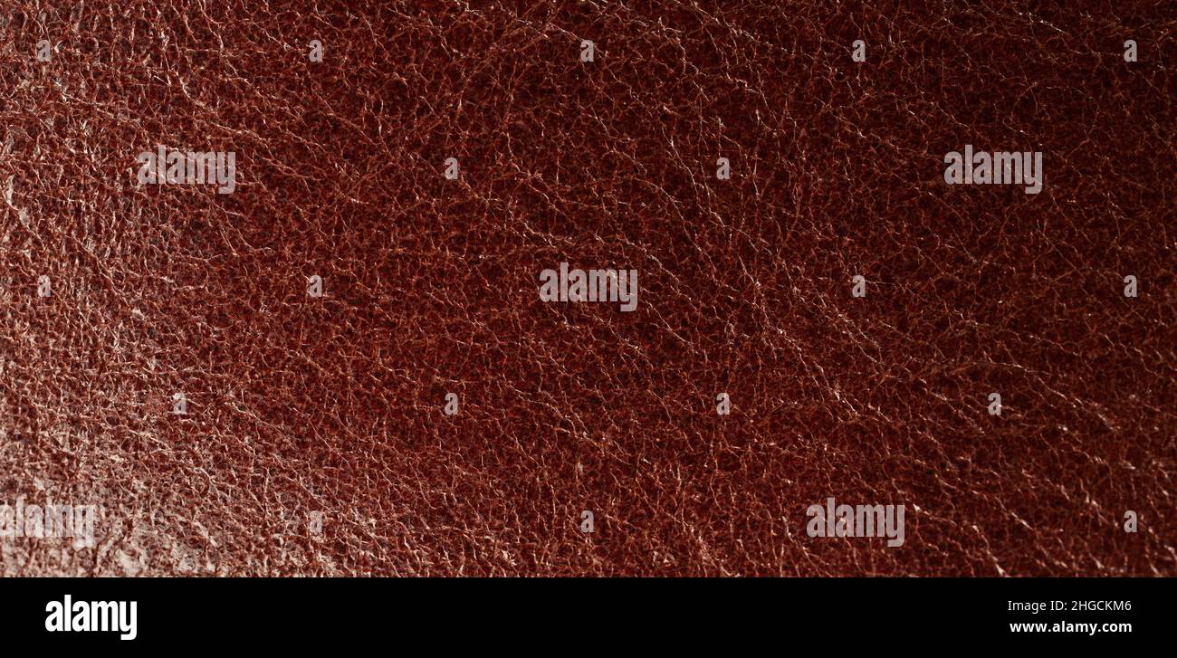 Blank grainy leather surface macro close up view Stock Photo