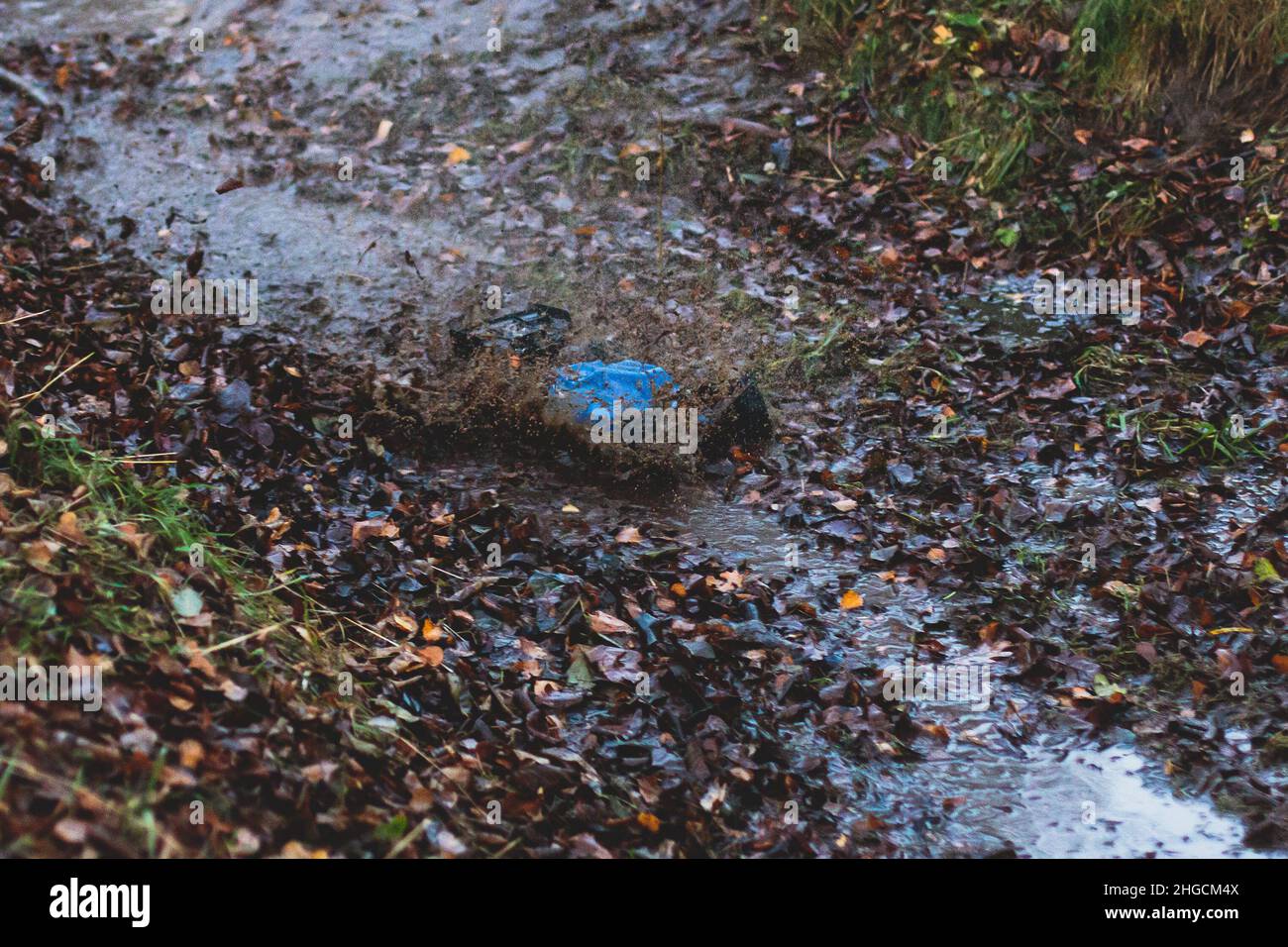 Radio controlled buggies cars race, process of rc wireless model toy