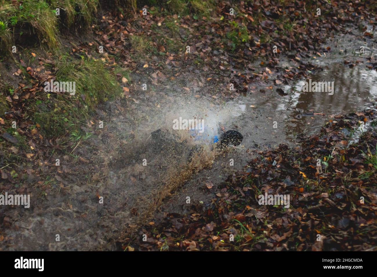 Radio controlled buggies cars race, process of rc wireless model toy