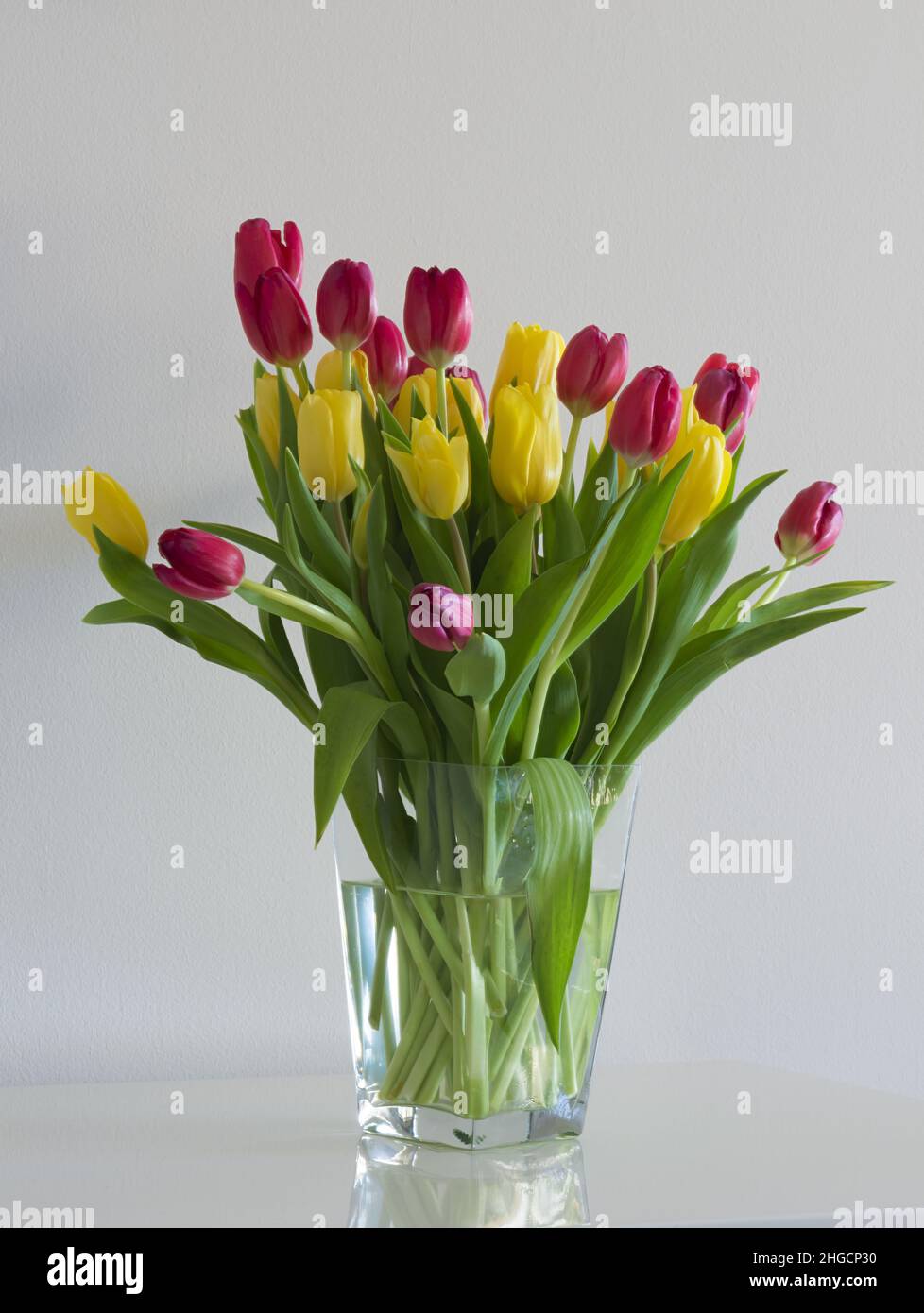 tulipani gialli e rossi in vaso di vetro sopra un tavolo bianco spazio copia altra vista Stock Photo