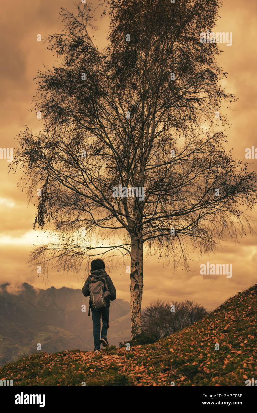 Walks in nature hi-res stock photography and images - Alamy