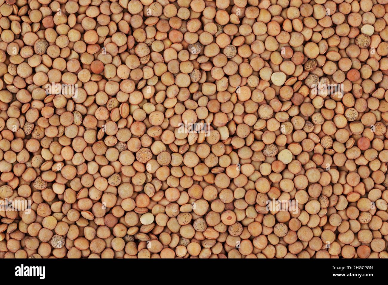 green-lentil-background-stock-photo-alamy