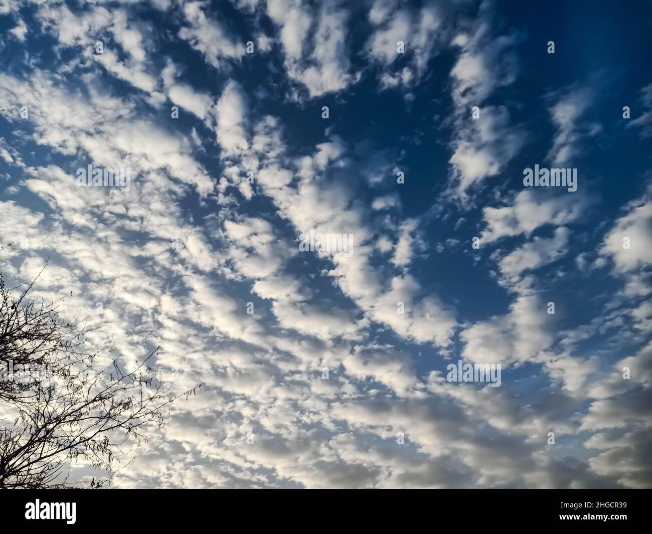 White Clouds In The Blue Sky With Tree Branch Stock Photo - Alamy