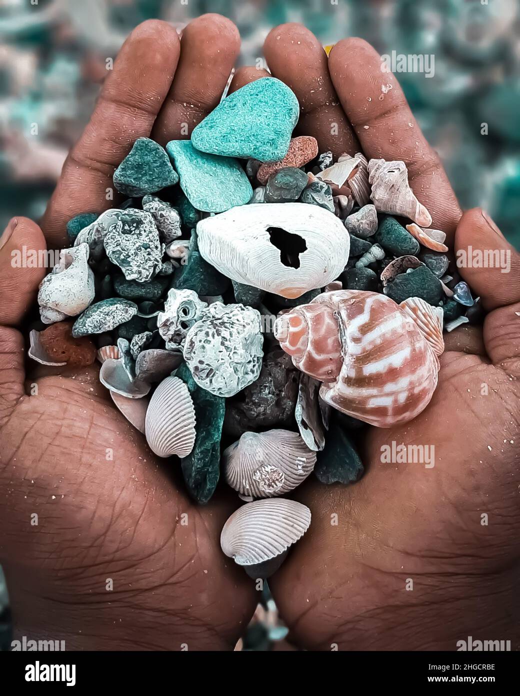 Different Types Of Sea Shells In The Hand Stock Photo - Alamy