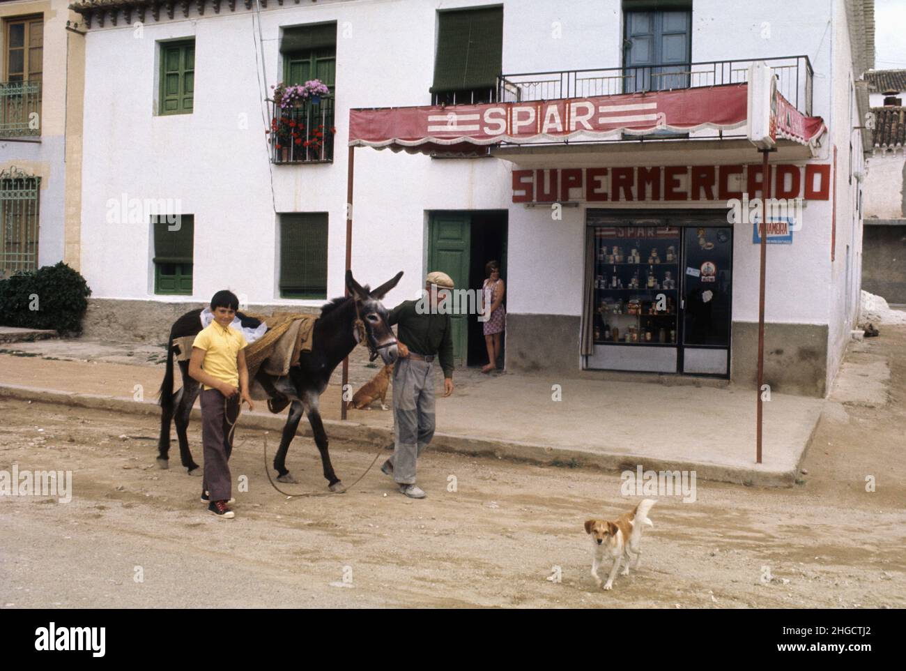 Spain Andalousie supermarket with donkey for shopping Stock Photo