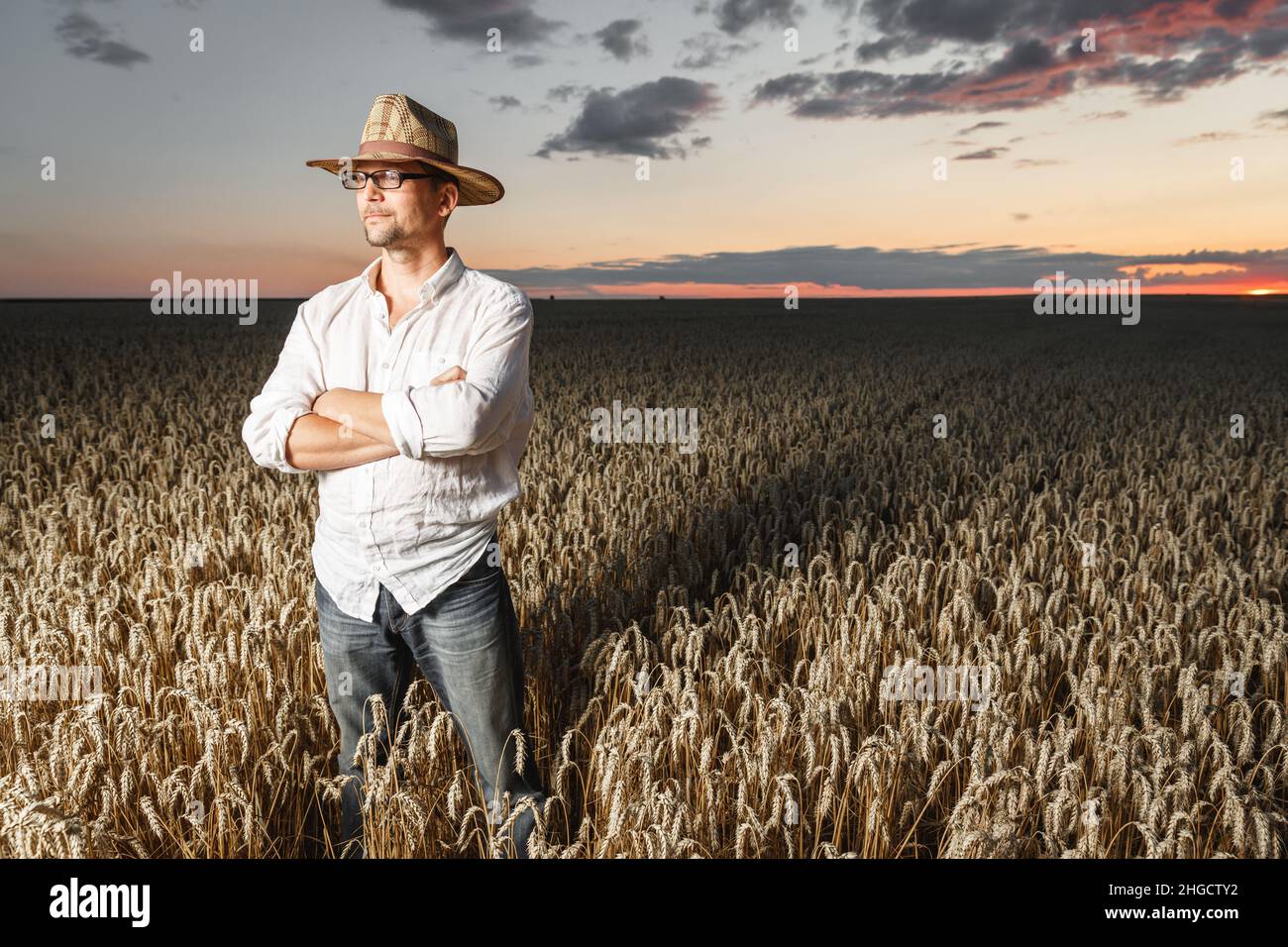 Farmer in a straw hat and glasses standing in a ripe wheat field before ...