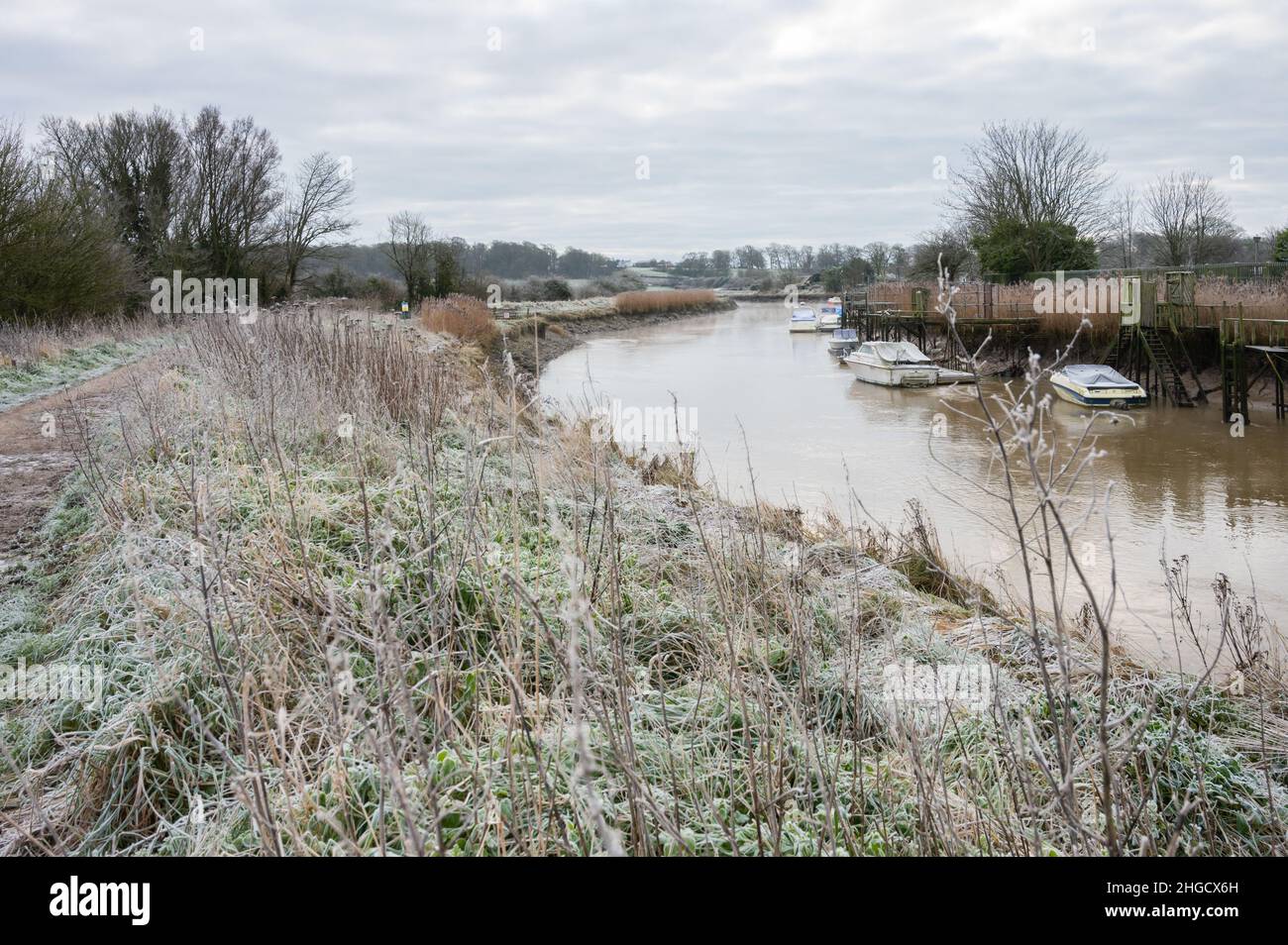 Frost on the riverbank on a cold frosty Winter morning along the River Arun in Arundel, West Sussex, England, UK. Stock Photo