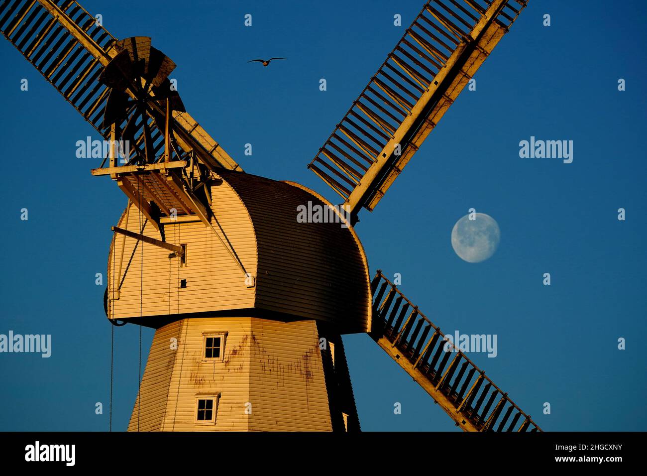 Willesborough Windmill, a white smock mill built in 1869 is bathed in the morning sunshine as the moon sets behind in Ashford, Kent. Picture date: Thursday January 20, 2022. Stock Photo