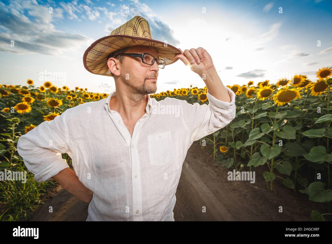 Portrait of a farmer in a straw hat wearing glasses in a sunflower
