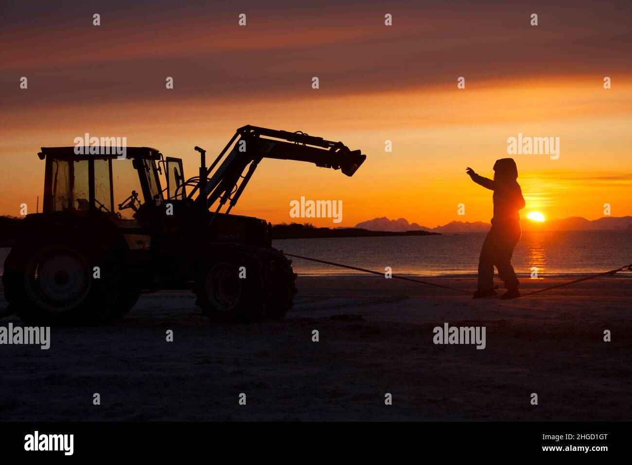 Playing with slack line between two tractors on the beach in Lofoten islands, northern Norway in the sunset Stock Photo