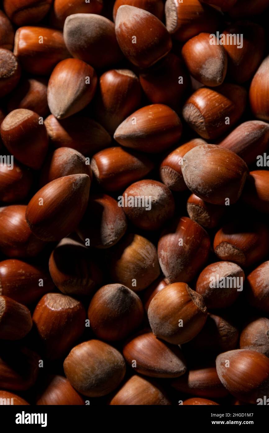 Close up of whole hazelnuts, protein rich ingredients, healthy eating