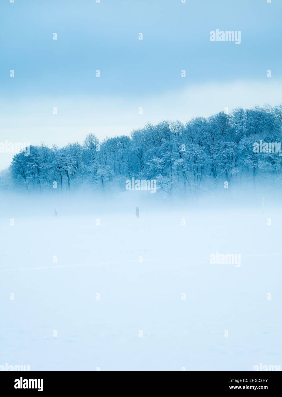 Foggy winter landscape. People walking on the frozen sea. Snow covered trees. Stock Photo