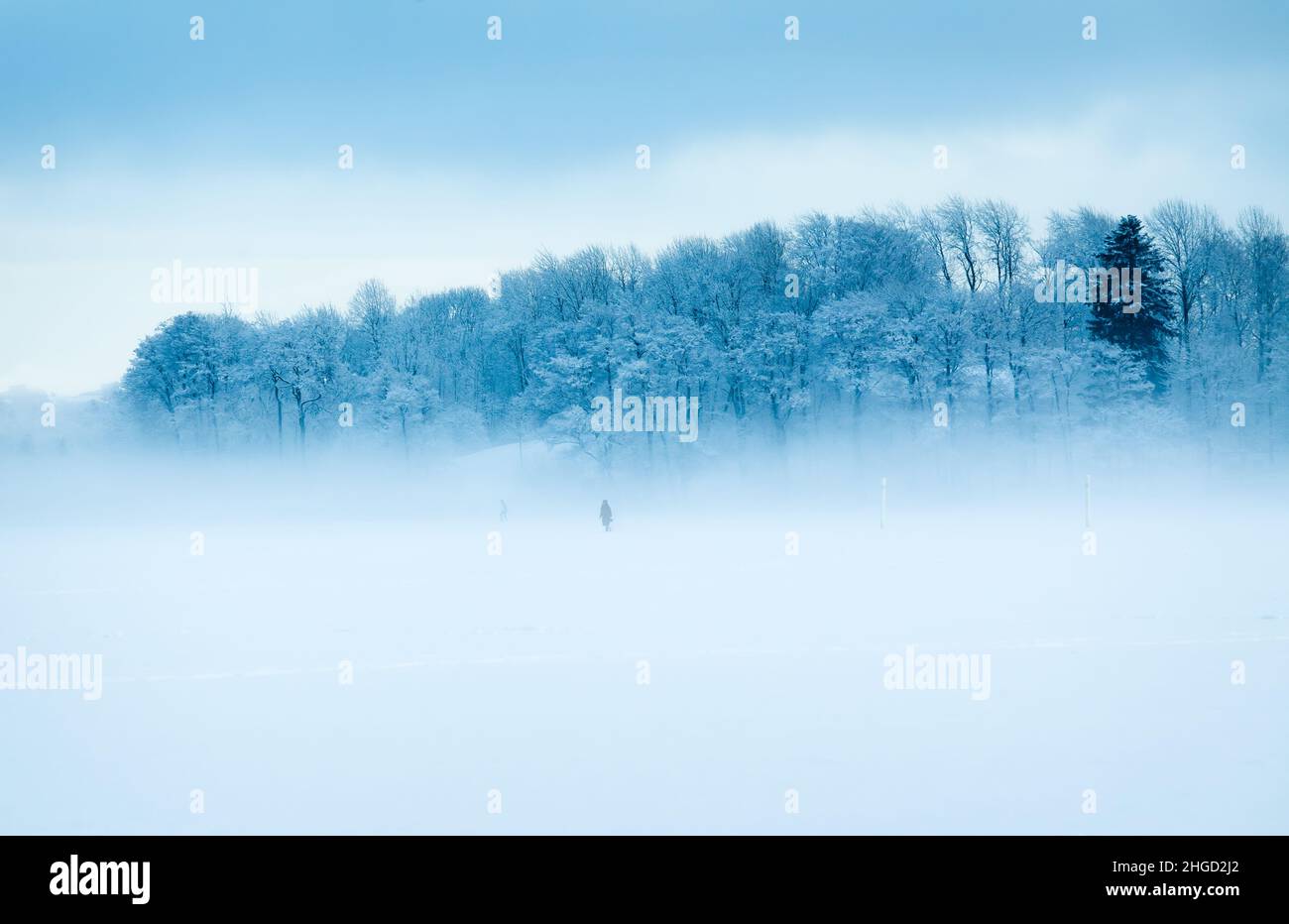 Foggy winter landscape. People walking on the frozen sea. Snow covered trees. Stock Photo