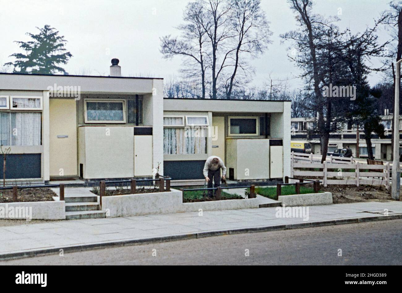 A 1960s photograph of single storey houses in Danebury Avenue, Roehampton, London, England, UK aimed at older retired residents. The area is part of the Alton Estate. Roehampton, a southwest London suburb, has a number of large council house estates. The London County Council (LCC) built the Roehampton Estate in the 1920s–30s and the Alton Estate in the 1950s. The Alton Estate, one of the UK’s largest, has a mix of low and high-rise modernist architecture consisting of both Scandinavian-influenced and brutalist – a vintage 1960s photograph. Stock Photo