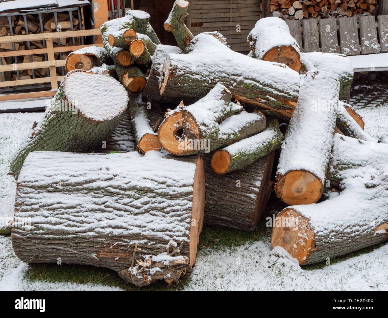 Firewood covered with snow in winter Stock Photo