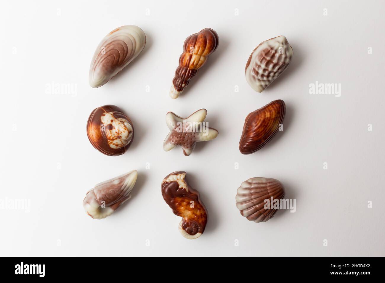 Chocolates seashells isolated on white background. Stock Photo