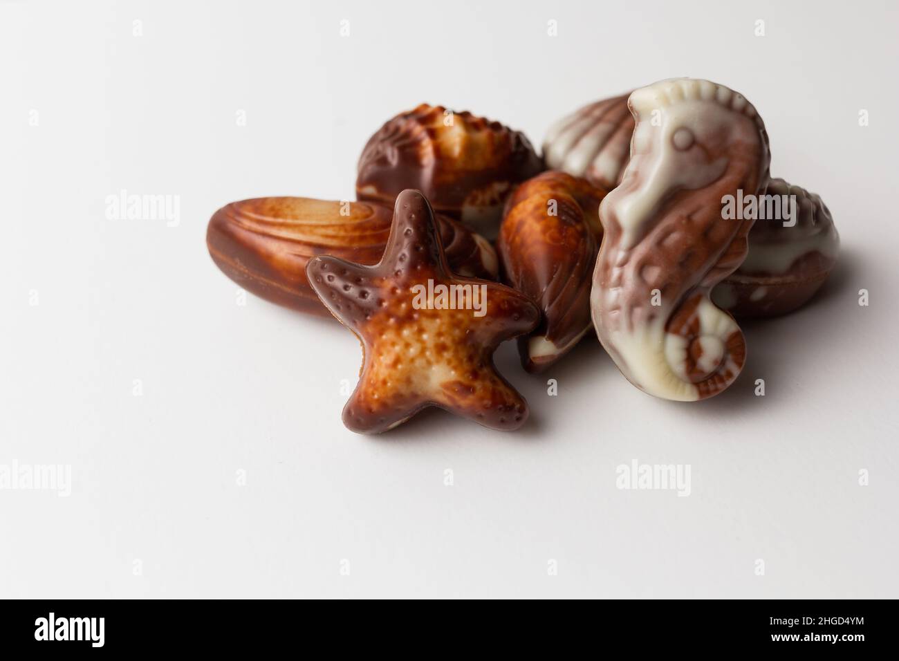Chocolates seashells isolated on white background. Stock Photo