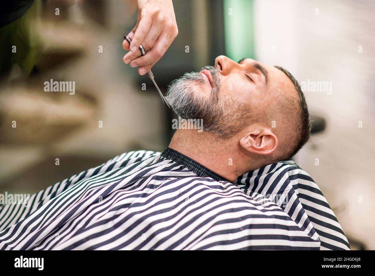 Barber using scissors to trim a middle-aged male clients beard in a professional barbershop or salon in a close up side view on his hand and the custo Stock Photo