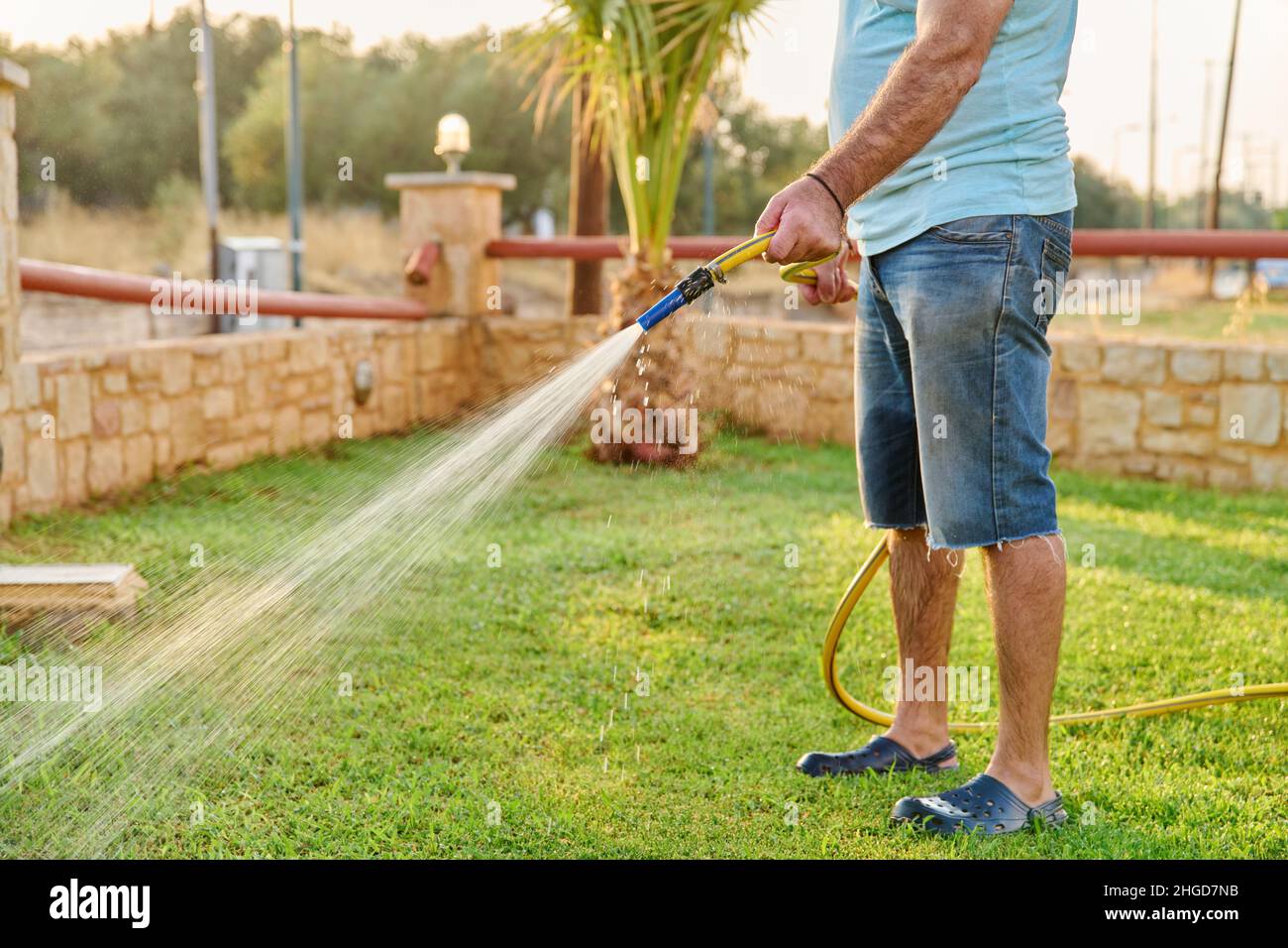 Man watering the lawn with a hose in the morning Stock Photo