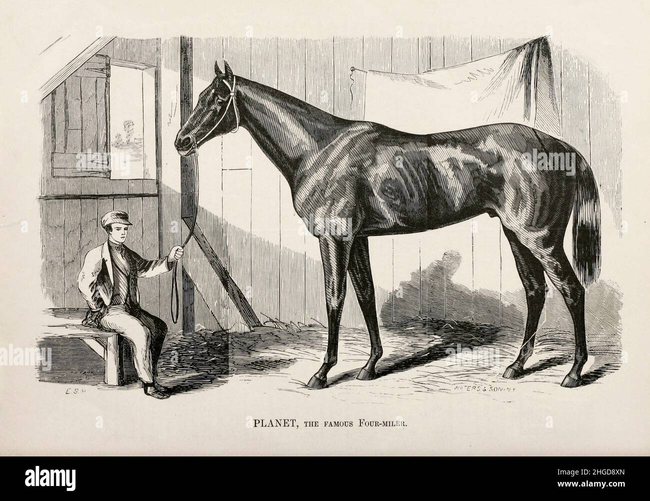 Planet, The Famous four miler Drawn by E. S. H. [Planet (1855–1875) was a racehorse and U.S. Racing Hall of Fame inductee who to the people, was considered the best horse before the American Civil War. He set a record for prize money earnings which stood for 20 years].  From the book ' Famous American race horses ' published in 1877 by Porter and Coates Philadelphia, Stock Photo