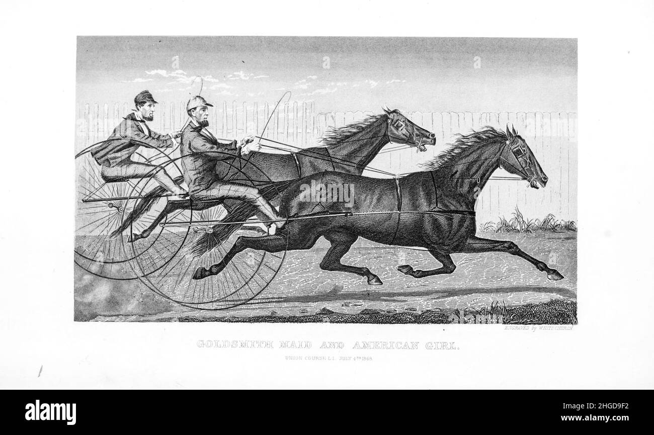 Goldsmith Maid (1857 – September 23, 1885) was a prominent Standardbred racemare in the 1870s that was called the 'Queen of the Trotters' and had a harness racing career that spanned 13 years. and American Girl neck to neck from Every horse owner's cyclopedia : the anatomy and physiology of the horse; general characteristics; the points of the horse, with directions how to choose him; the principles of breeding, and the best kind to breed from; the treatment of the brood mare and foal; raising and breaking the colt; stables and stable management; riding, driving, etc., etc. Diseases, and how t Stock Photo