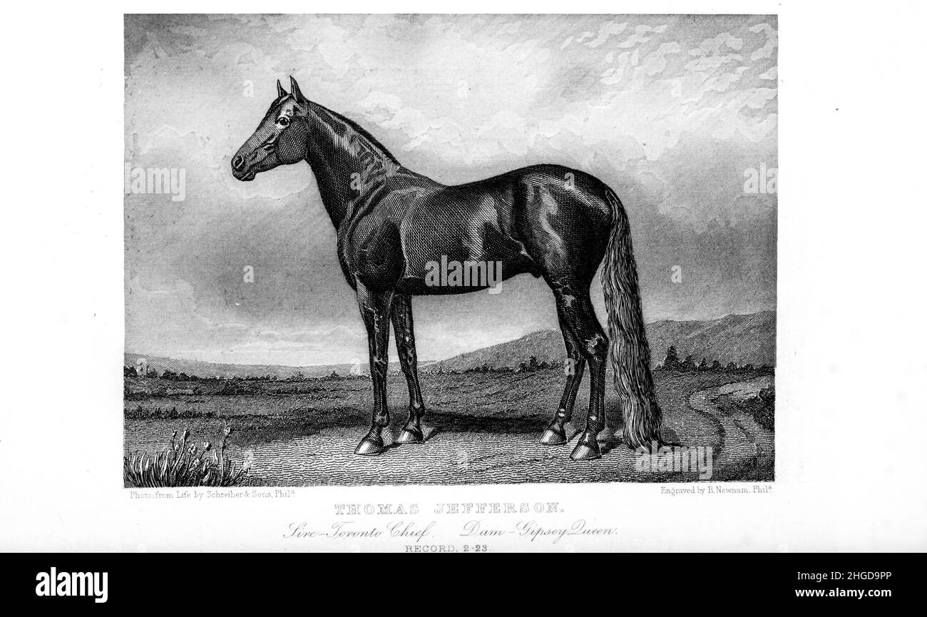 Thomas Jefferson from Every horse owner's cyclopedia : the anatomy and physiology of the horse; general characteristics; the points of the horse, with directions how to choose him; the principles of breeding, and the best kind to breed from; the treatment of the brood mare and foal; raising and breaking the colt; stables and stable management; riding, driving, etc., etc. Diseases, and how to cure them. The principal medicines, and the doses in which they can be safely administered; accidents, fractures, and the operations necessary in each case; shoeing, etc. Publisher: Philadelphia : Porter & Stock Photo