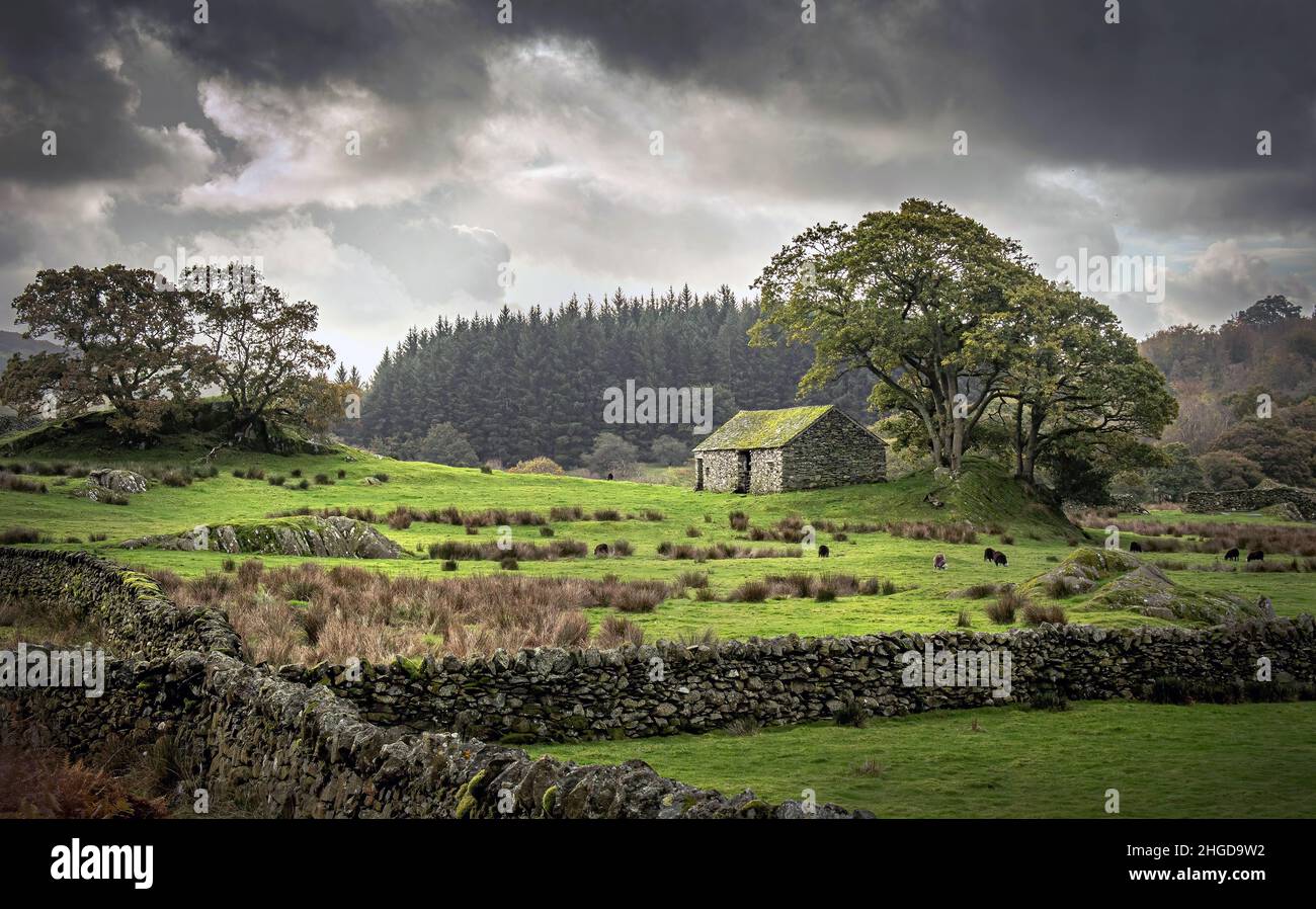 Field barn stone wall hi-res stock photography and images - Alamy
