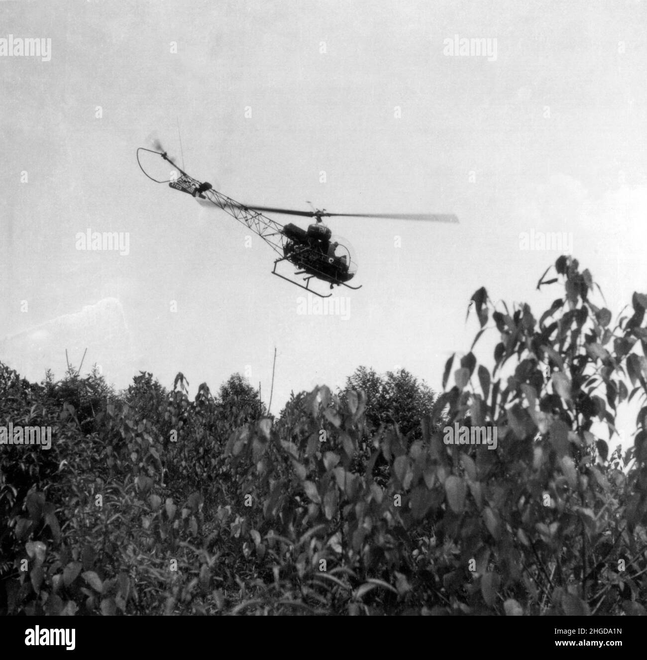Augusta Bell 47 Royal Marines Commando recce casualty helicopter on exercise in Singapore 1967 Stock Photo