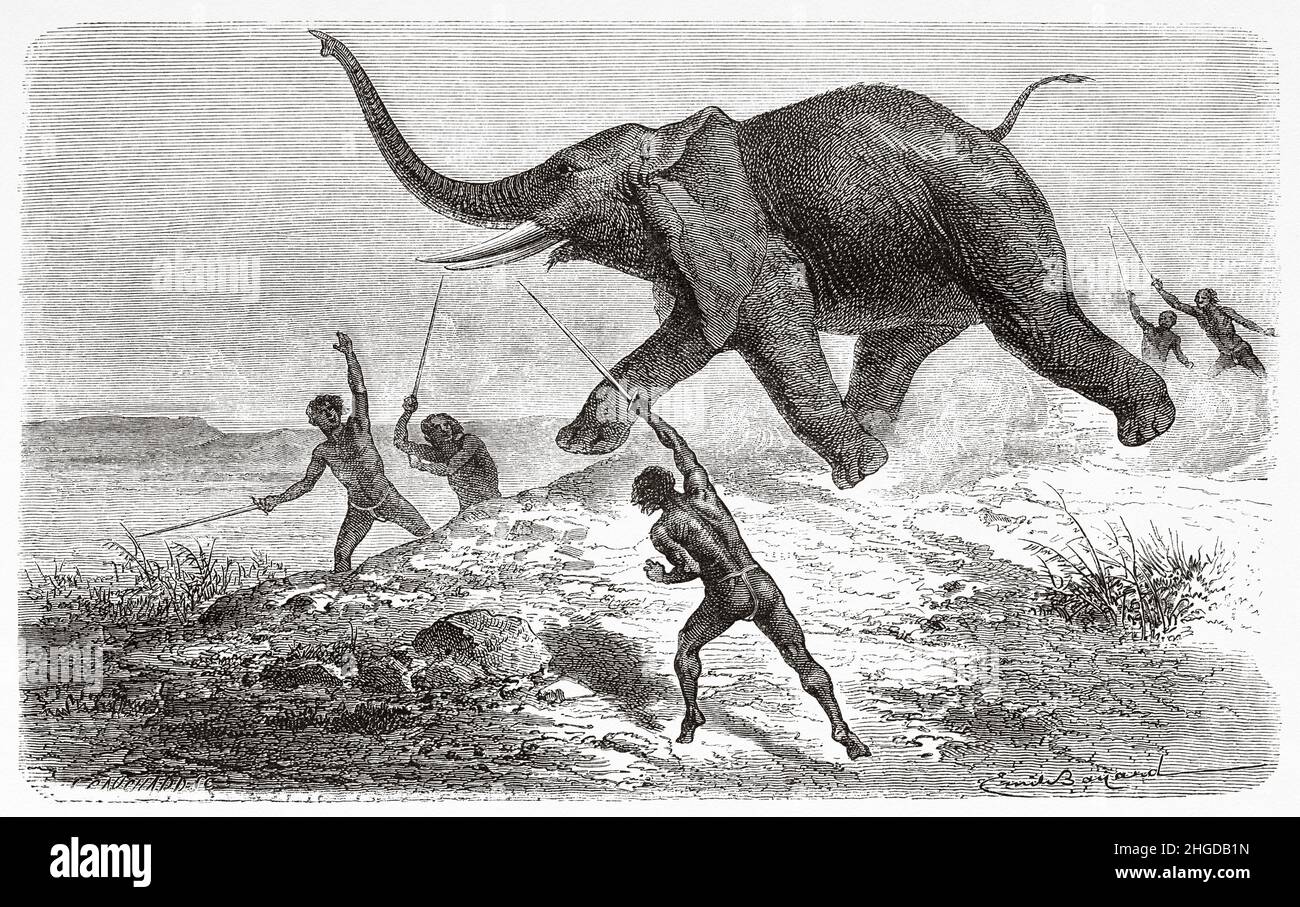 Hunting scene. Elephant hunting with swords by Abyssinian natives, Abyssinia. Africa. Old 19th century engraved illustration from Exploration of the Nile tributaries of Abyssinia, 1861-1862 by Samuel Baker, Le Tour du Monde 1870 Stock Photo