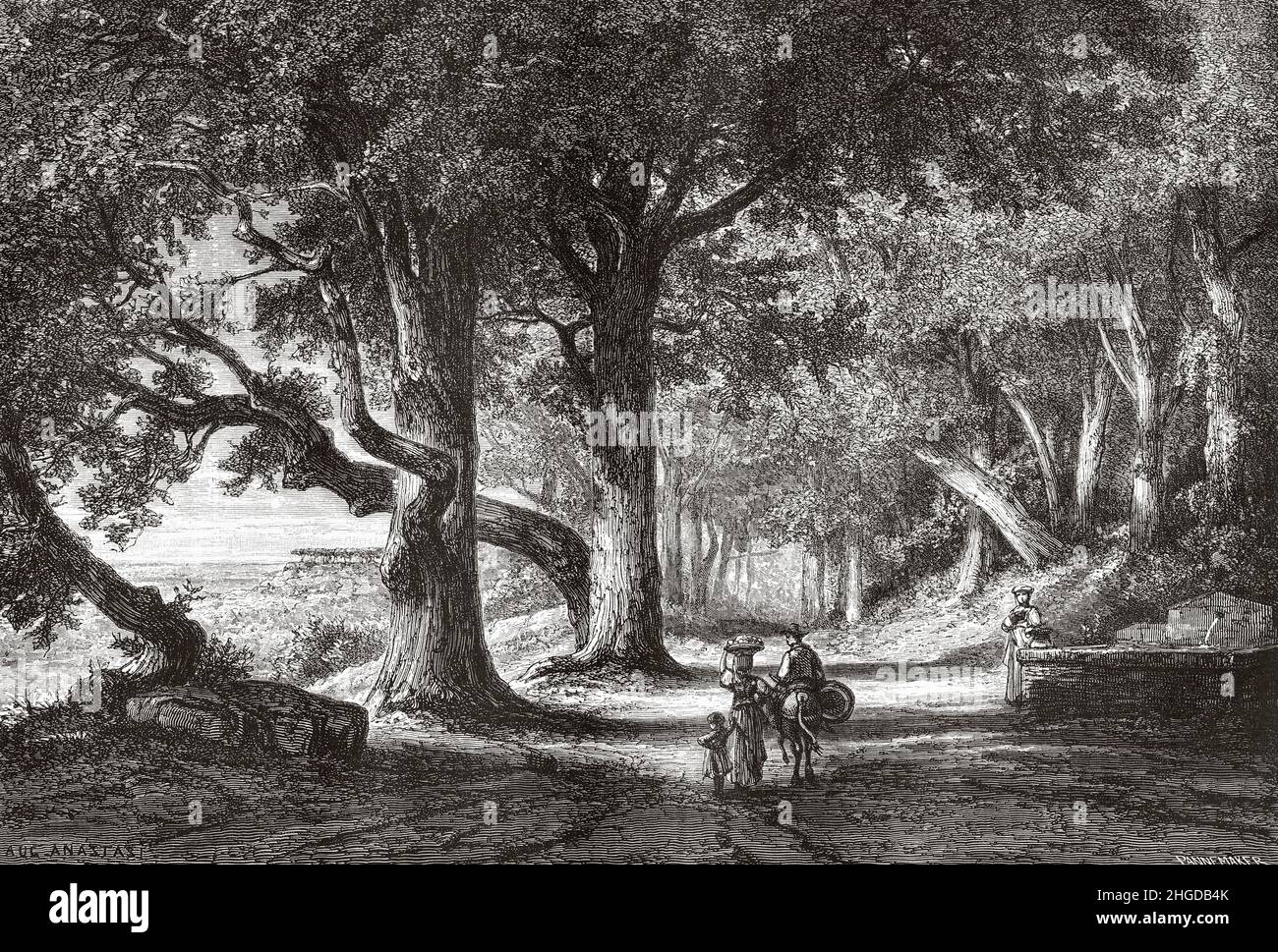 Covered path from Albano to Castel-Gandolfo, Rome. Italy, Europe. Old 19th century engraved illustration from Trip to Rome by Francis Wey, Le Tour du Monde 1870 Stock Photo