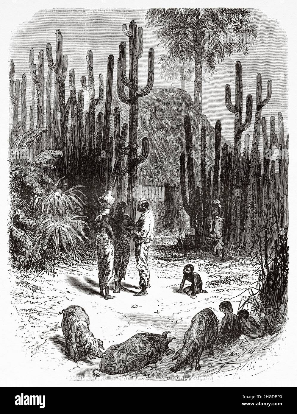 A hut of blacks peoples, Florida, United States of America. Old 19th century engraved illustration from Four months in Florida by Achille Poussielgue, Le Tour du Monde 1870 Stock Photo