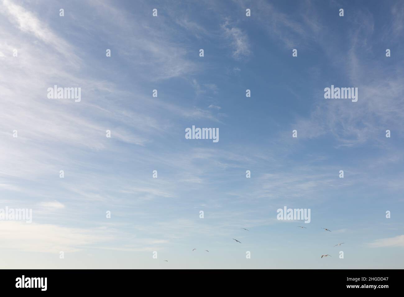 Low angle view of clouds with birds flying in blue sky on sunny day Stock Photo